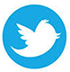 Twitter logo blue and white